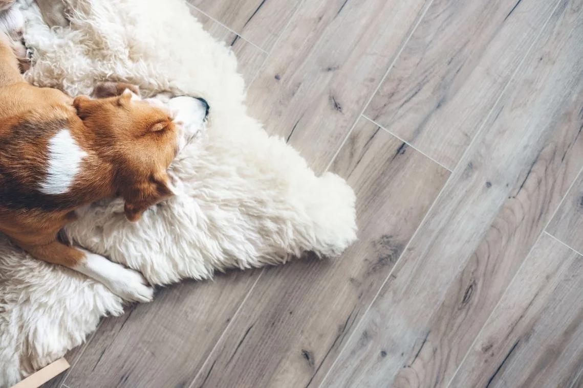 CARPET VS. HARDWOOD FLOORS: WHICH IS BETTER LONG TERM?